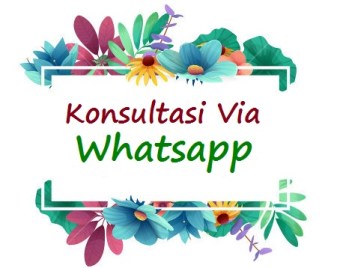 konsultasi-via-whatsapp